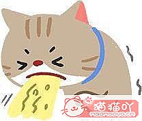 《猫瘟初期的4大症状!》原文配图3