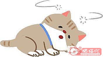 《猫瘟初期的4大症状!》原文配图2