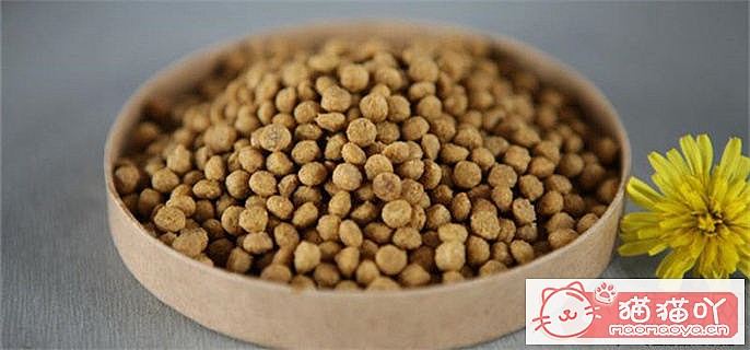 《十大放心猫粮国产名单》原文配图1
