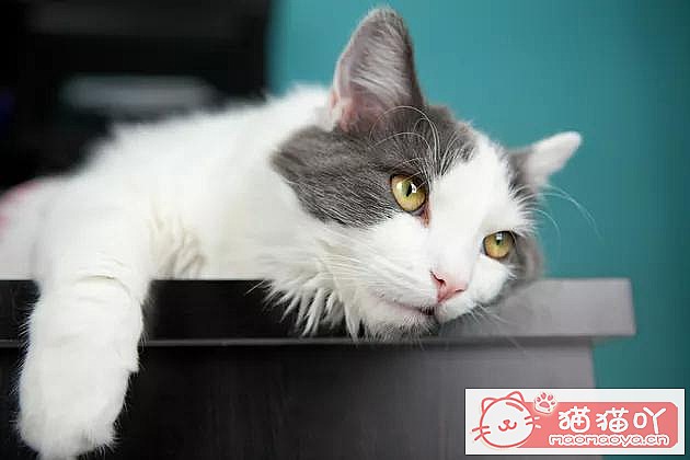 èŻµʲôԭ򣿡ԭͼ1