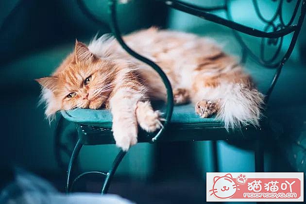 èŻµʲôԭ򣿡ԭͼ2