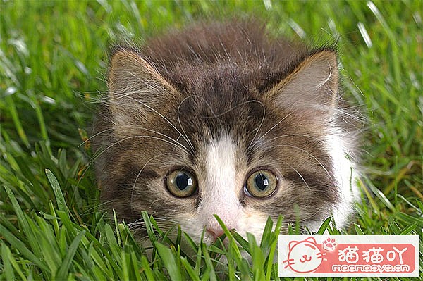 èע5èūè20顷ԭͼ2