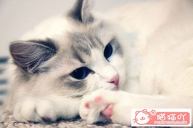 èע5èūè20顷ԭͼ3