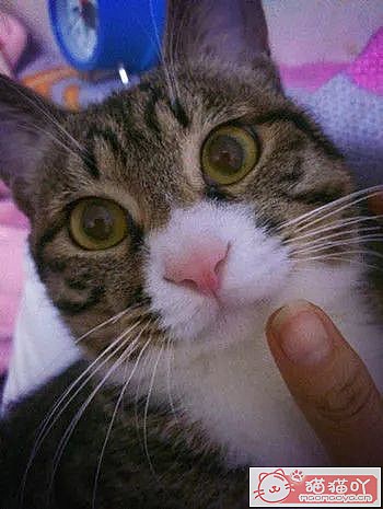 ´ؼҵèҪЩ׼-èָϡԭͼ1