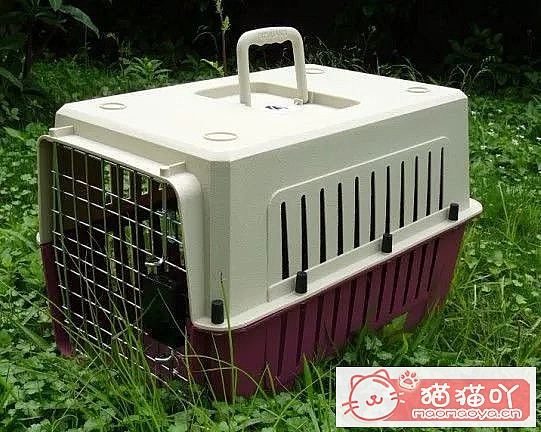 ´ؼҵèҪЩ׼-èָϡԭͼ2