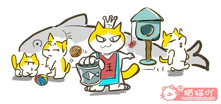 ӭһֻèҵȫ׼ԭͼ12