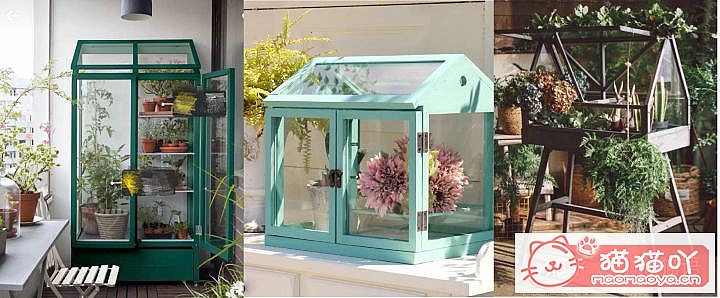 ӭһֻèҵȫ׼ԭͼ10