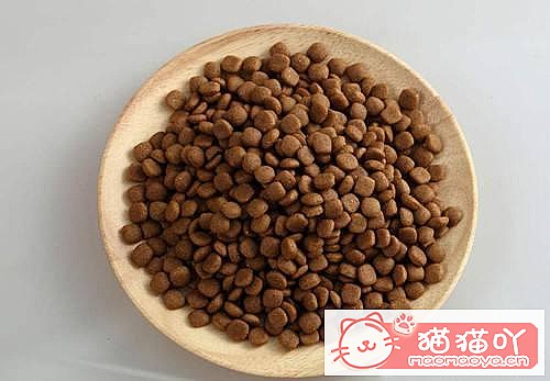 《猫绝育会影响发腮吗》原文配图1