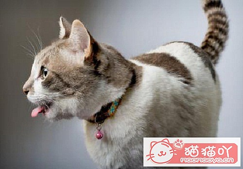 èֹͣ𣿾Ҫעʲôԭͼ1