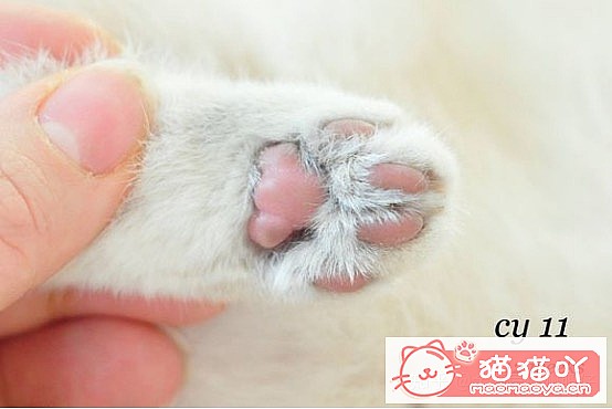 𽥲ɫɫֽ𽥲ϡɫƪԭͼ4