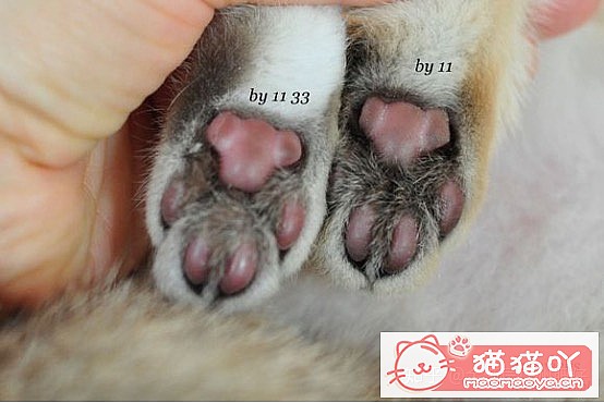 𽥲ɫɫֽ𽥲ϡɫƪԭͼ5