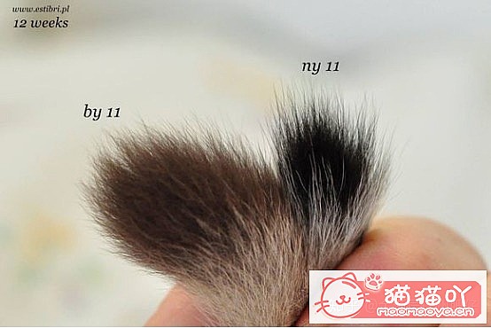 𽥲ɫɫֽ𽥲ϡɫƪԭͼ3