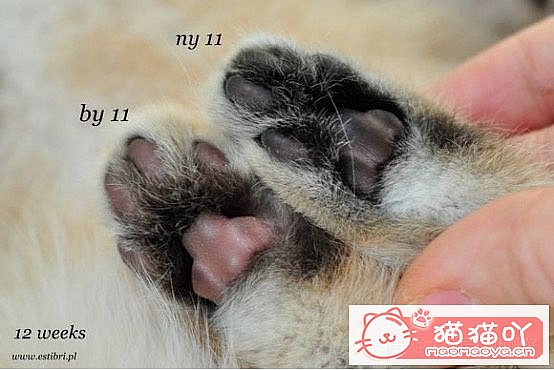 𽥲ɫɫֽ𽥲ϡɫƪԭͼ8