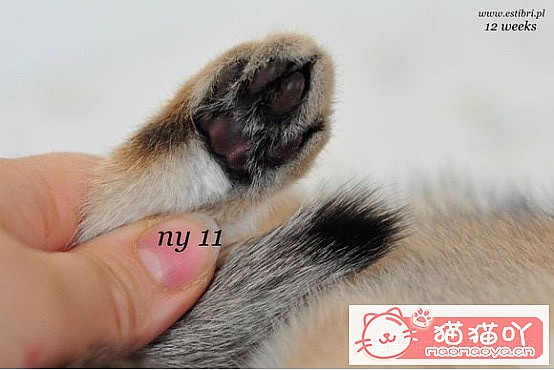 𽥲ɫɫֽ𽥲ϡɫƪԭͼ9