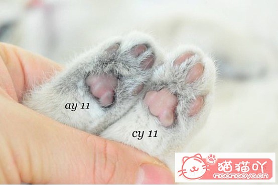 𽥲ɫɫֽ𽥲ϡɫƪԭͼ7