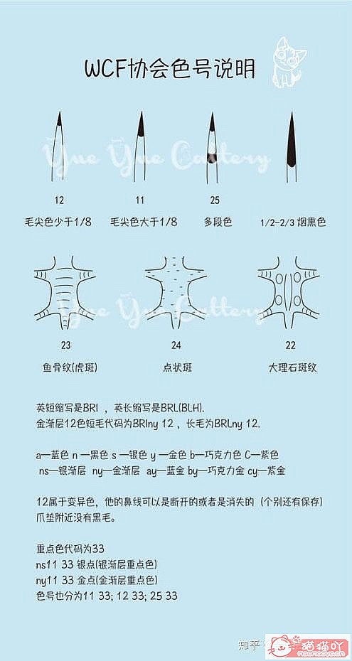 𽥲ɫɫֽ𽥲ϡɫƪԭͼ10