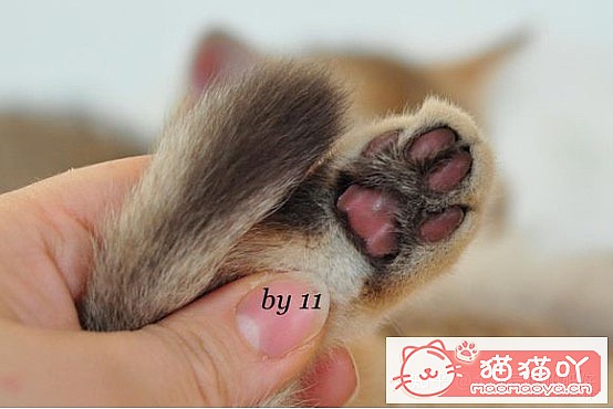 𽥲ɫɫֽ𽥲ϡɫƪԭͼ6