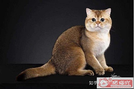 𽥲ɫɫֽ𽥲ϡɫƪԭͼ14