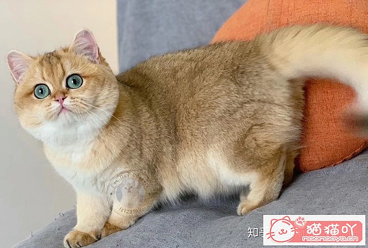 𽥲ɫɫֽ𽥲ϡɫƪԭͼ15