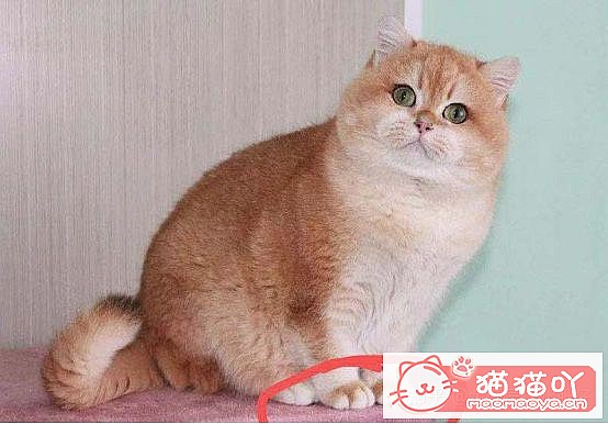 𽥲ɫɫֽ𽥲ϡɫƪԭͼ13