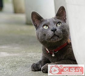 èèƷִȫͼƬСͼԭͼ6