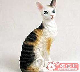 èèƷִȫͼƬСͼԭͼ7