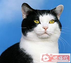 èèƷִȫͼƬСͼԭͼ16