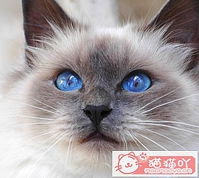 èèƷִȫͼƬСͼԭͼ20