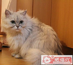 èèƷִȫͼƬСͼԭͼ23