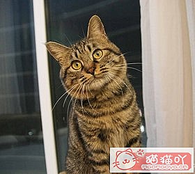 èèƷִȫͼƬСͼԭͼ30