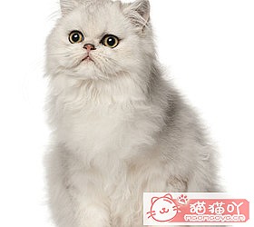 èèƷִȫͼƬСͼԭͼ38