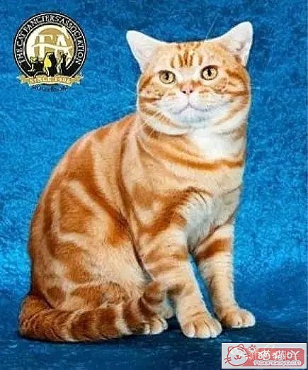 10ճĴèƷ֡ԭͼ1