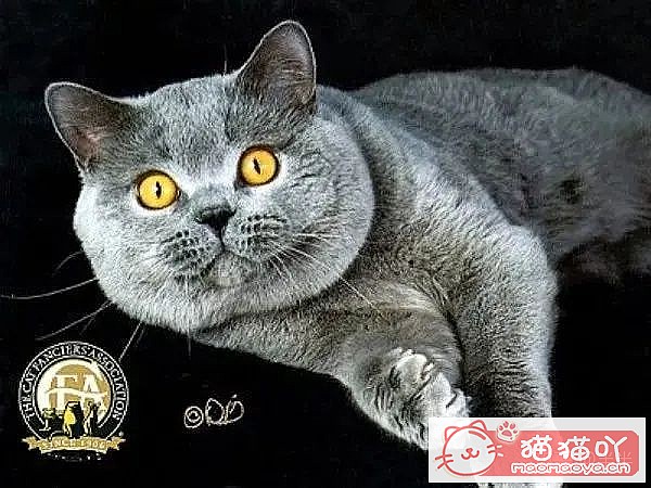 10ճĴèƷ֡ԭͼ3