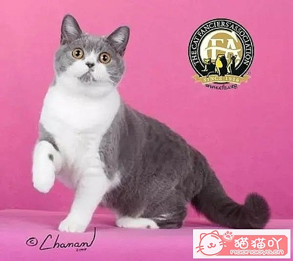 10ճĴèƷ֡ԭͼ4