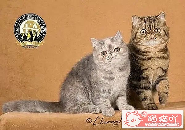 10ճĴèƷ֡ԭͼ5