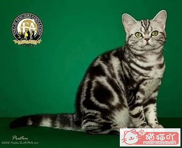 10ճĴèƷ֡ԭͼ2