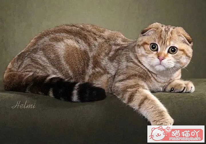 10ճĴèƷ֡ԭͼ8