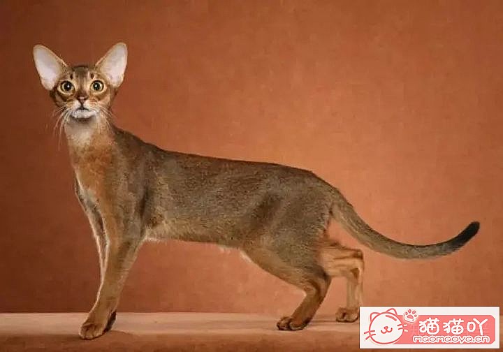 10ճĴèƷ֡ԭͼ12