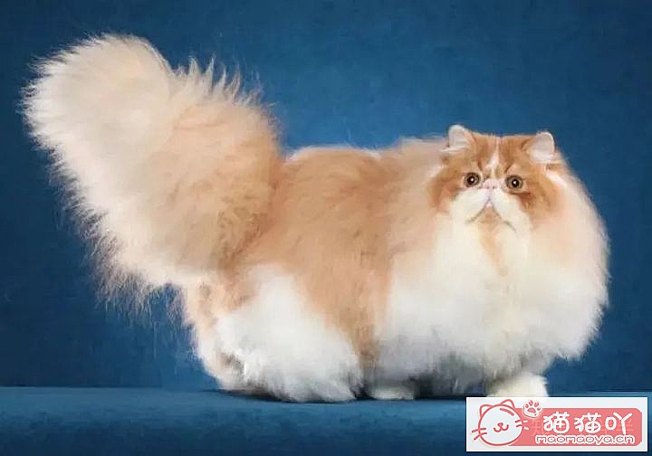 10ճĴèƷ֡ԭͼ6