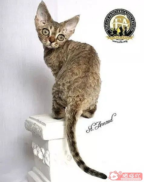 10ճĴèƷ֡ԭͼ11