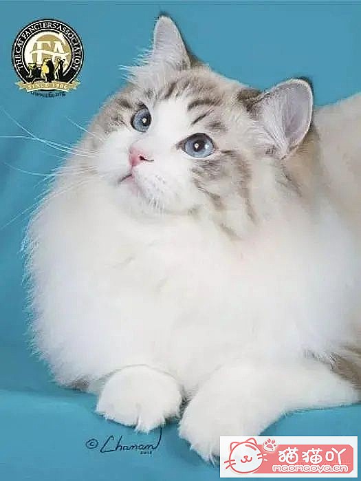 10ճĴèƷ֡ԭͼ7