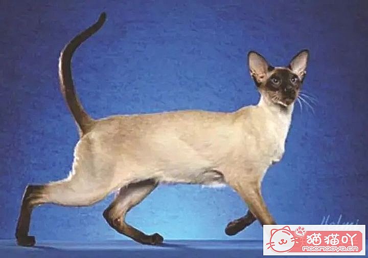 10ճĴèƷ֡ԭͼ9