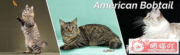 42cfaϵĴèΪԸԭͼ2