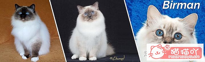 42cfaϵĴèΪԸԭͼ7