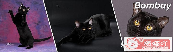 42cfaϵĴèΪԸԭͼ8