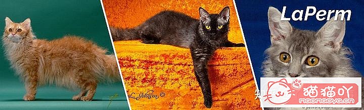 42cfaϵĴèΪԸԭͼ21