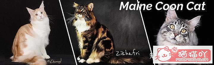 42cfaϵĴèΪԸԭͼ22