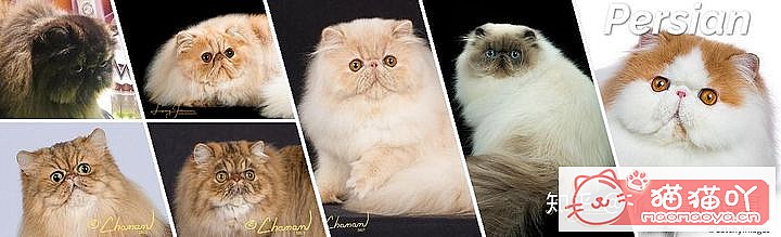 42cfaϵĴèΪԸԭͼ27