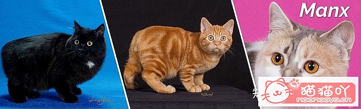 42cfaϵĴèΪԸԭͼ23