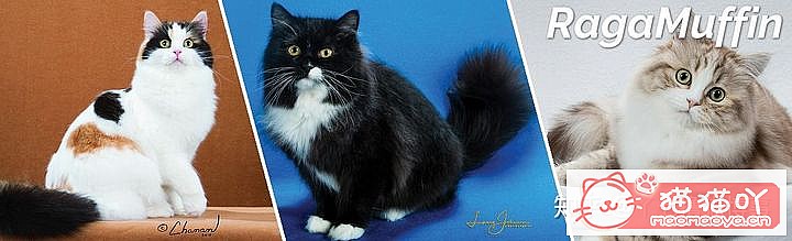 42cfaϵĴèΪԸԭͼ28